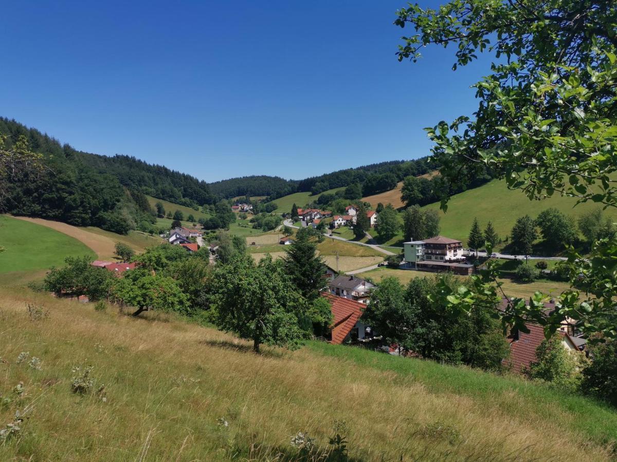 Hotel Gruener Baum Mit Restaurant & Wellness Oberzent Eksteriør billede