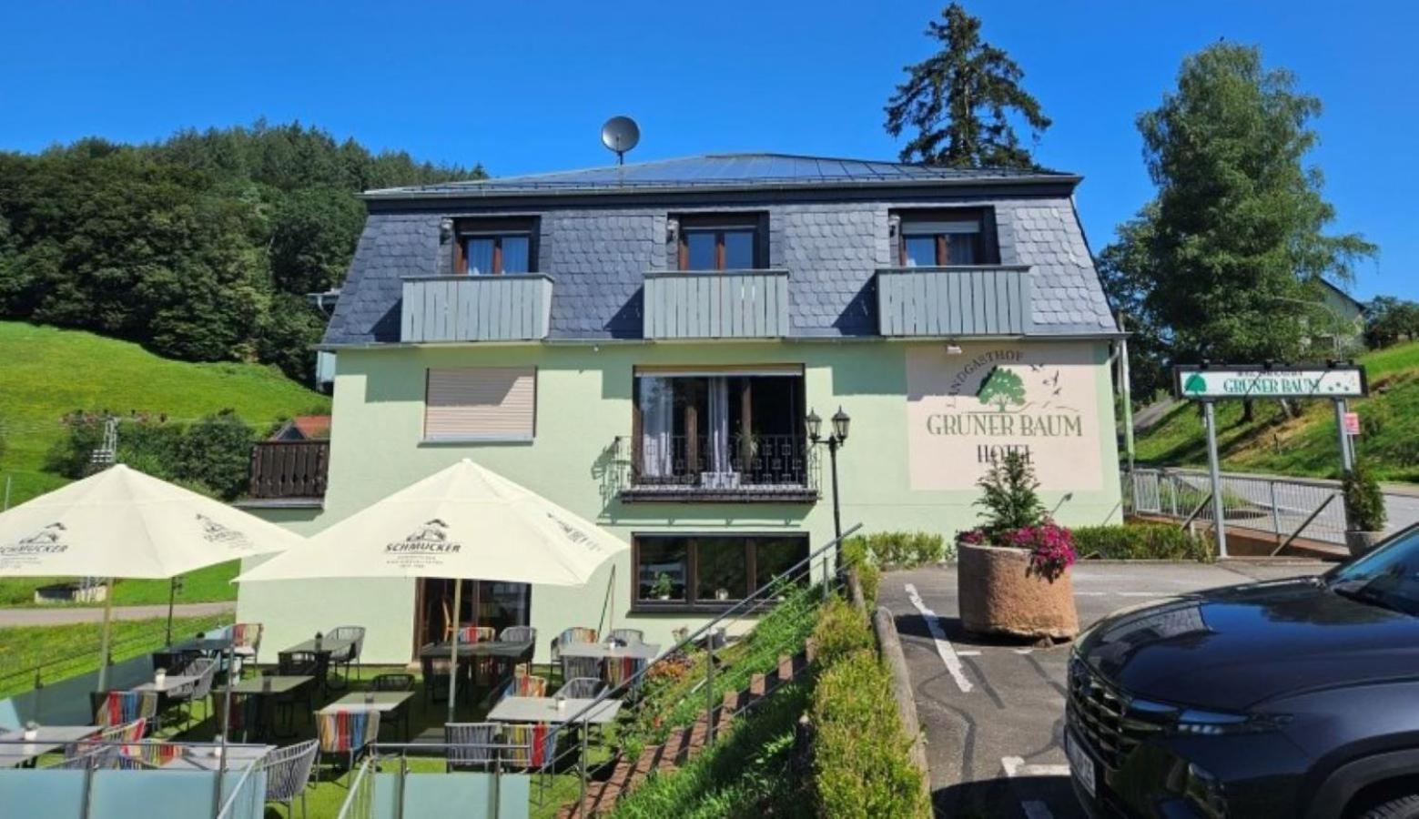 Hotel Gruener Baum Mit Restaurant & Wellness Oberzent Eksteriør billede